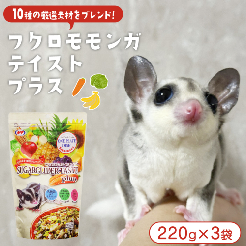 フクロモモンガ テイストプラス 220g × 3袋 フクロモモンガ 小動物用フード ペットフード おやつ 乳酸菌配合 [BU036sa] 2151930 - 茨城県桜川市