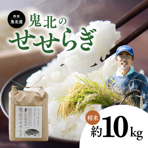 【先行予約】【R7年産】【環境保全米】鬼北町のせせらぎ 10kg（コシヒカリ） ｜ お米 お米不足 お米品薄 おいしい お米 事業者支援 送料無料 白米 精米 国産 限定 ごはん ご飯 白飯 ゴハン 愛媛県産 鬼北町 ※2025年9月上旬より順次発送予定 ※離島への配送不可 2151938 - 愛媛県鬼北町