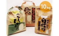 千葉県産のお米 10kg / お米 精米 こしひかり コシヒカリ ふさこがね 千葉県