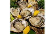 [先行予約 2025年7月20日より発送]奥尻島産養殖岩ガキ[Mサイズ]殻付き 10個入り(加熱食用)〜豊かな海が育てた海の宝石〜