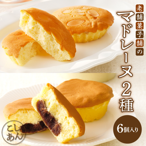 【2週間以内発送】老舗菓子舗のマドレーヌ2種セット「合計6個・個包装」 焼き菓子 スイーツ 詰め合わせ 洋菓子_T035-020 2152118 - 宮崎県都農町
