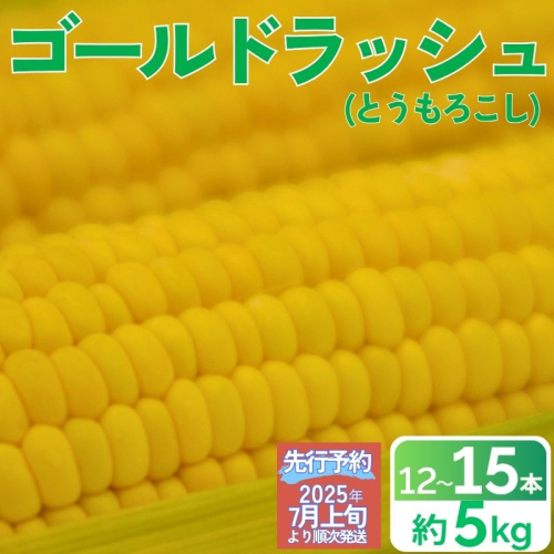 【先行予約】 とうもろこし 甘い スイートコーン ゴールドラッシュ 約 5kg 12000円 12 本 ～ 15 本 L ～ 2L サイズ 【2025年7月上旬から出荷】 トウモロコシ コーン 冷蔵 クール便 産地直送 国産 農家直送 期間限定 数量限定 冷蔵 人気 贈答 プレゼント ギフト 土産 お取り寄せ ギフト お中元 愛媛県 愛南町 愛なんよ  2152120 - 愛媛県愛南町