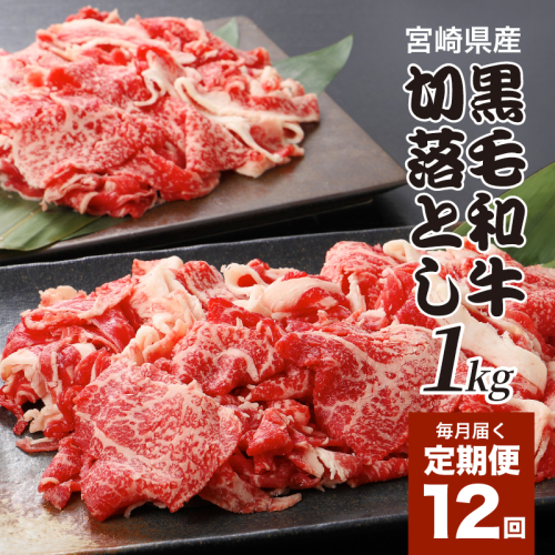 宮崎県産黒毛和牛 贅沢切り落とし1kg(500g×2)×12回定期便 K16_T016
2152157 - 宮崎県木城町