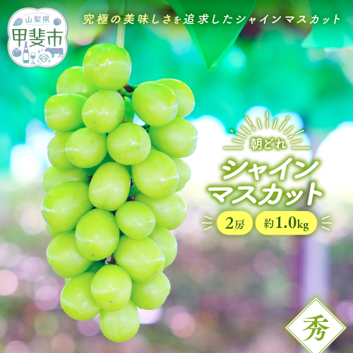 【2026年分発送】 シャインマスカット 2房 約1.0kg 先行予約 先行 予約 山梨県産 産地直送 フルーツ 果物 くだもの ぶどう ブドウ 葡萄 シャイン シャインマスカット 新鮮 人気 おすすめ 国産 贈答 ギフト お取り寄せ 甘い 皮ごと 種なし 山梨 甲斐市 AV-2 2152331 - 山梨県甲斐市