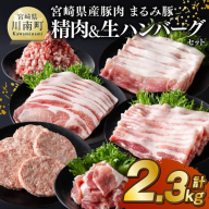 宮崎県産豚肉 「まるみ豚」 精肉&生ハンバーグセット計2.3kg 【 肉 豚肉 国産 ハンバーグ 小分け 弁当 おかず お手軽 真空パック バラ モモ ロース こま切れ スライス ミンチ 挽肉 九州産 宮崎県産 川南町産 送料無料 】