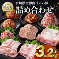 宮崎県産豚肉「まるみ豚」 詰め合わせセット計3.2kg 【 肉 豚肉 国産 こま切れ ハンバ—グ 生姜焼き 弁当 おかず お手軽 真空パック バラ ロース モモ ミンチ 挽肉 九州産 宮崎県産 川南町産 送料無料 】