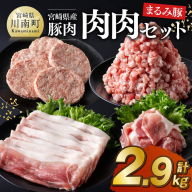 宮崎県産豚肉 「まるみ豚」 肉肉セット計2.9kg 【 肉 豚肉 国産 モモ ミンチ ハンバ—グ スライス こま切れ 弁当 おかず お手軽 真空パック 九州産 宮崎県産 川南町産 送料無料 】