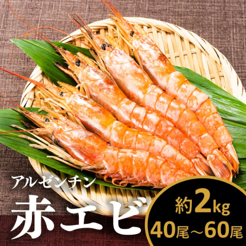 AB443.【お刺身用】有頭赤海老2kg（約40〜60尾入） 2152490 - 福岡県新宮町
