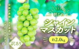 ご家庭用シャインマスカット 2kg 「訳あり」 くだもの王国やまなしが取り組む地球温暖化対策「４パーミル・イニシアチブ農産物」としてブランド化を進めています。 甲斐市産のシャインマスカットを気軽に楽し