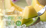 【8月発送】メロン 2L × 1玉  日研農園 ／ メロン めろん 先行予約 フルーツ 果物 アールスメロン 青肉メロン 旬 夏 厳選 高級 人気 デザート  メロン ゼリー 贈答用 贈答品 贈答 メロン パン 産直 産地直送 ギフト プレゼント 贈り物 愛知県 特産品 産地直送 田原市 渥美半島 7月 8月 9月