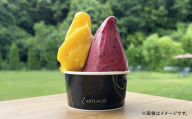 アルトラーチェ カップジェラート 6種セットA （小林牧場ミルク ・ モカ ・ かぼちゃ ・ ピスタチオ ・ ミルクハニー ・ ヘーゼルナッツ） 6個 ジェラート アイス アイスクリーム デザート スイーツ セット 詰め合わせ 詰合せ 北海道 北広島市 冷凍
