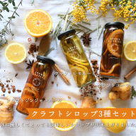 [スピード発送] クラフト飲料シロップ(コーラ、ジンジャーエール、レモネード)3本セット いずみピクルス NSW 099H3665