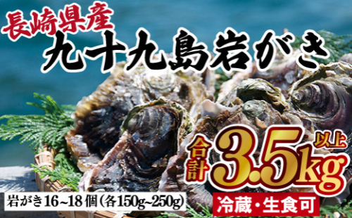 A162p 九十九島岩がき 2153266 - 長崎県佐世保市