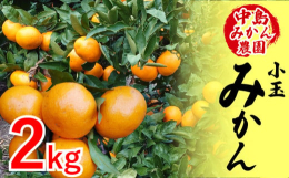 【ふるさと納税】【2025年12月から発送】中島産 温州みかん 小玉2kg ｜ ミカン 蜜柑 不揃い 柑橘 果物 フルーツ 松山 愛媛 みかん ミカ
