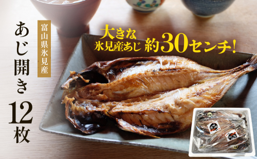 氷見産あじ開き 12枚 約30センチ！富山湾海の幸 富山県 氷見市 アジ 鯵干 物 魚 冷凍 2153431 - 富山県氷見市