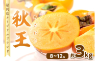 秋王(あきおう) 柿 約3kg箱(8-12玉)【011-0068】