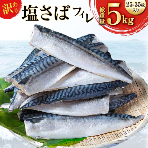 訳あり 減塩 無添加 塩サバ フィレ 総重量 5kg (25-35枚入)[足利本店 宮城県 気仙沼市 20565571] 魚介類 魚 海鮮 大容量 サバ さば 鯖 塩分控えめ サバフィレ サバフィーレ 鯖フィレ 塩サバフィレ 切り身 冷凍 訳アリ わけあり 2153462 - 宮城県気仙沼市