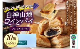 ふんわりサクッとしたパイに「プレミアムパミス（ぶどうの果皮と種）」のフィリングを詰めました。プチッとした種の食感と、芳醇なぶどうの風味にアーモンドクリームを合わせて濃厚に仕上げています。「菓子工房エス
