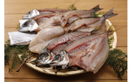 【一本釣り 匠の漁】佐田岬 玉手箱セット 5種×各2枚（計10枚） 【 ふるさと納税 人気 おすすめ ランキング あじ アジ さば サバ いさき ふぐ 太刀魚 たちうお 一夜干し あじ一夜干し アジ一夜干し 一夜 干し セット 詰合せ 海鮮 新鮮 愛媛県 伊方町 送料無料 】 IKTJ006