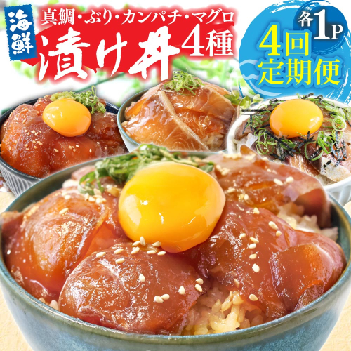 漬け丼セット4種 80g×各1P 4回定期便 海鮮丼 海鮮丼セット 真鯛 ブリ カンパチ マグロ 海鮮 漬け お茶漬け 鯛 ぶり 鰤 勘八 かんぱち まぐろ 小分け パック ご飯 晩御飯 惣菜 刺身 冷凍 配送 2153632 - 高知県芸西村