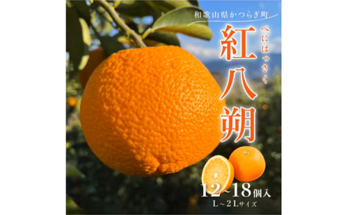 先行予約!紅はっさく 約5kg/12～18個入り(L～2Lサイズ)こだわり農家厳選! ※2026年1月下旬～2月下旬頃より順次発送予定 2153637 - 和歌山県美浜町