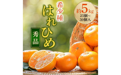 先行受付!　はれひめ(みかんの希少種)　秀品　25個～30個入　約5kg ※2025年12月中旬～2026年1月下旬頃より順次発送予定 2153639 - 和歌山県美浜町