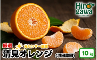 清見 オレンジ 厳選 10kg+250g（痛み補償分） 光センサー / 清見オレンジ 清見タンゴール きよみ 清美 甘い 高級 和歌山 柑橘 ※2月上旬～6月上旬に順次発送 ※北海道・沖縄・離島への配送不可 【ikd011-p-10】