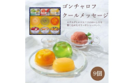 ゴンチャロフ クールメッセージ(9個)