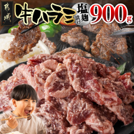 牛ハラミ 塩麹タレ漬け900g