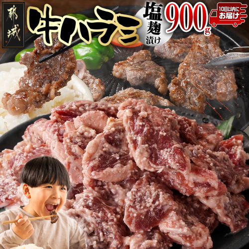 牛ハラミ 塩麹タレ漬け900g≪みやこんじょ特急便≫_LG8-3309-Q 2153778 - 宮崎県都城市