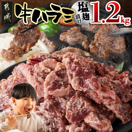 牛ハラミ 塩麹タレ漬け1.2kg_12-3310 2153782 - 宮崎県都城市