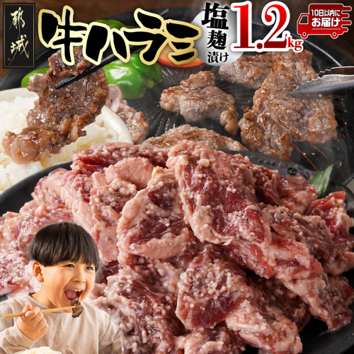 牛ハラミ 塩麹タレ漬け1.2kg≪みやこんじょ特急便≫_12-3310-Q 2153783 - 宮崎県都城市