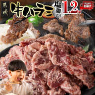 牛ハラミ 塩麹タレ漬け1.2kg≪みやこんじょ特急便≫_12-3310-Q