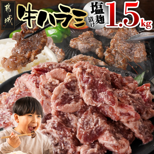 牛ハラミ 塩麹タレ漬け1.5kg_14-3305 2153788 - 宮崎県都城市