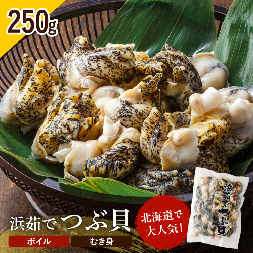 浜茹でつぶ貝 250g【er001-116】 2153803 - 北海道えりも町