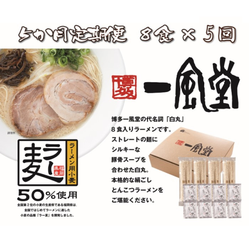 E133.【全5回定期便】一風堂白丸ラー麦麺セット・8食【豚骨ラーメン】 2153806 - 福岡県新宮町