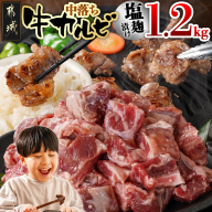 牛中落ちカルビ 塩麹タレ漬け1.2kg_AA-3315