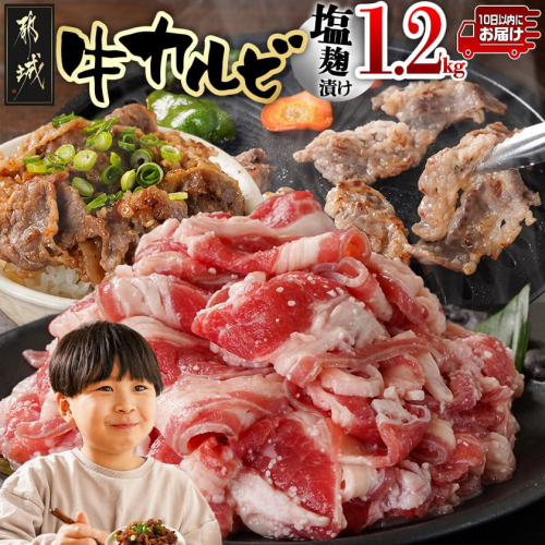 牛カルビ 塩麹タレ漬け1.2kg≪みやこんじょ特急便≫_LG-3326-Q 2154007 - 宮崎県都城市