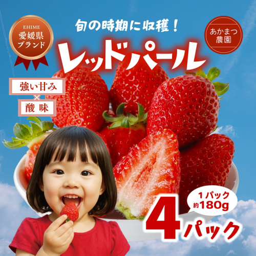 【2026年春収穫分】【先行予約】レッドパール 4パック（約720g） | いちご イチゴ 苺 大福 ジャム タルト アイス ケーキ ギフト あかまつ農園 ※離島への配送不可 ※2026年2月中旬頃より順次発送予定 2154016 - 愛媛県鬼北町