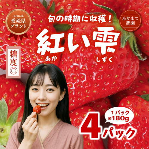【2026年春収穫分】【先行予約】紅い雫 4パック（約720g） | いちご イチゴ 苺 大福 ジャム タルト アイス ケーキ ギフト あかまつ農園 ※離島への配送不可 ※2026年2月中旬頃より順次発送予定 2154053 - 愛媛県鬼北町