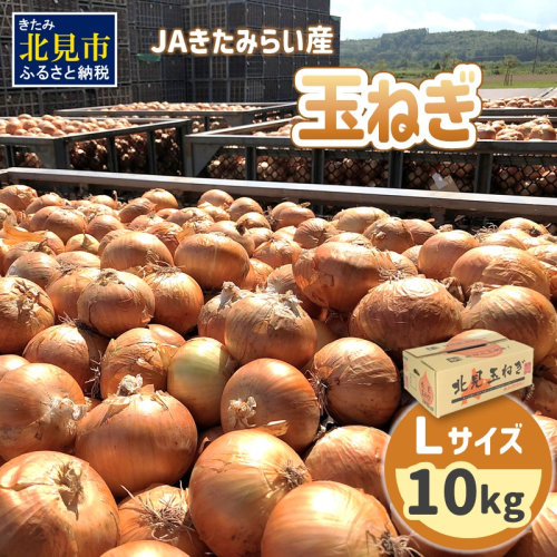 【予約：2025年9月上旬から順次発送】JAきたみらい産 玉ねぎ Lサイズ 10kg ( タマネギ たまねぎ 野菜 )【210-0001】 2154058 - 北海道北見市