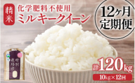 【先行予約】【令和7年産】定期便 ≪12ヶ月連続お届け≫  化学肥料不使用 特別栽培米 ミルキークイーン 精米 10kg × 12回（合計120kg） / 白米 米 福井県あわら市産 美味しい 特別栽培米 減農薬 安心な米 旨味 甘み もっちり 冷蔵保管米 ※2025年10月上旬より順次発送 [aw010-p003]