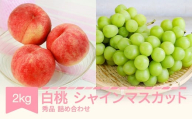 [先行予約]白桃秀品&シャインマスカット 品種おまかせ 詰め合わせ 約2kg 令和七年産 2025年産 果物 送料無料 ns-fshsx2