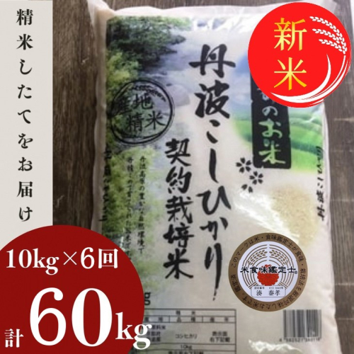 【定期便】令和7年産 新米 京都丹波米 こしひかり10kg×6回 計60kg◇◆◇ 米 6ヶ月 白米 6回定期便 ※精米したてをお届け コシヒカリ ※毎月1回又は2カ月に1回 ※北海道・沖縄・離島への配送不可 2154166 - 京都府亀岡市