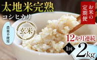 お米の定期便 農薬不使用米 太地米完熟 【こしひかり】 玄米2kg×12か月連続 ブランド米 お米 人気 F7X-0403
