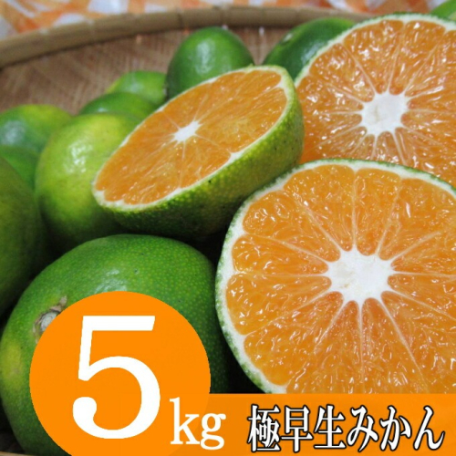 【先行予約】 黒潮の恵みをたっぷり浴びた さっぱり甘い 極早生みかん 5kg ～数量限定～ [rk049] 2154228 - 高知県室戸市