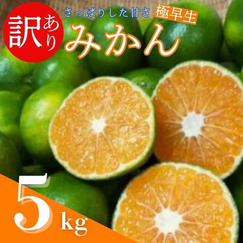 【先行予約】 訳あり 黒潮の恵みをたっぷり浴びた さっぱり甘い 極早生みかん 5kg ～数量限定～ [rk050] 2154229 - 高知県室戸市