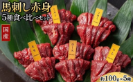 国産 馬刺し 赤身 5種食べ比べ セット（ランプ・ロース・ヒレ・ミスジ・ツカミ） 各100g 【自家製にんにく辛子味噌＆あごだし醤油付き】 ※沖縄・離島への配送不可