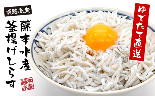 淡路島産【ゆでたて直送】釜揚げしらす 640g（80g×8パック）【到着日指定不可】 2154266 - 兵庫県淡路市