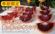 とっさんの真っ赤っかオレンジ(ブラッドオレンジ:モロ種)(配達指定日不可)[ブラッドオレンジ 2箱 3kg〜4kg 果物 フルーツ くだもの ジュース スムージー]